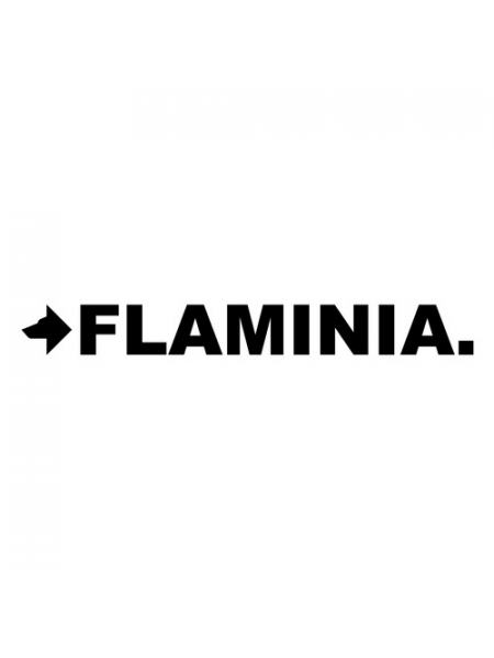 Производитель бренда Flaminia