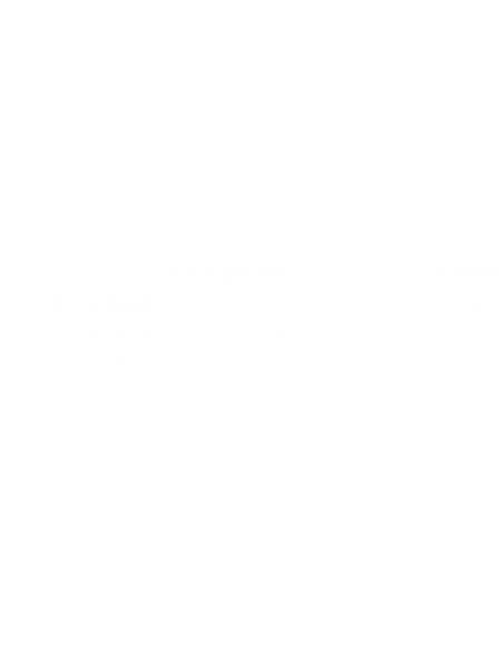 Производитель бренда CarEx