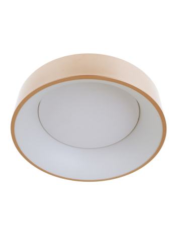 Світильник світлодіодний настінно-стельовий накладний WBL-28C/30W*2 RG