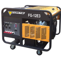 Forte FG12E3 Электрогенератор