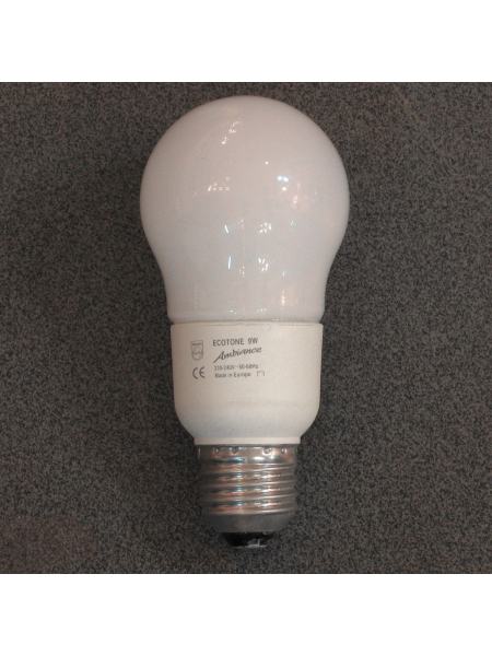 Лампа E27 Ambiance A55 9W Philips